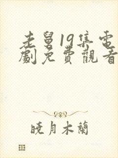 老舅19集电视剧免费观看