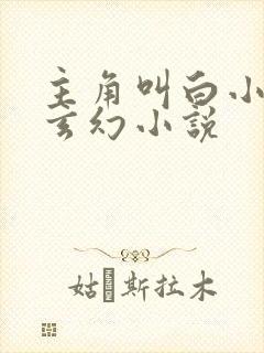 主角叫白小白的玄幻小说