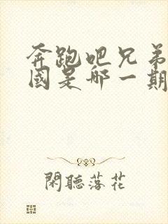 奔跑吧兄弟去韩国是哪一期封面