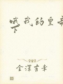 哦 我的皇帝陛下