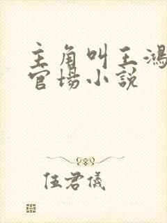 主角叫王鸿涛的官场小说