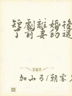 短剧离婚后我成了前妻的遥不可及封面