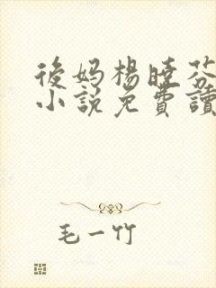 后妈杨晓芬王磊小说免费读