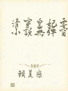 清穿皇妃要娇养小说无弹窗