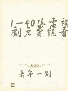 1—40集电视剧免费观看大