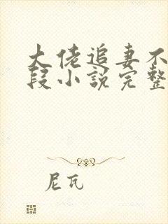 大佬追妻不择手段小说完整版大结局