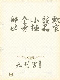 哪个小说软件可以看极品家丁