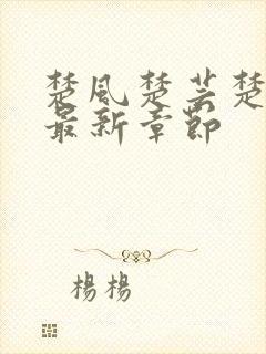 楚风楚芸楚鸿飞最新章节