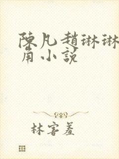 陈凡赵琳琳的主角小说封面