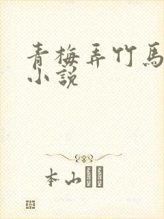 青梅弄竹马天时小说