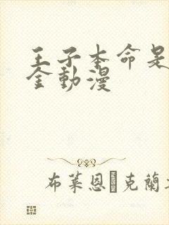 王子本命是恶千金动漫封面