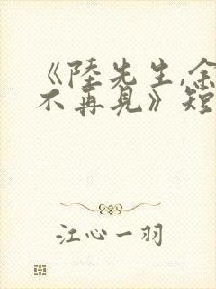 《陆先生,余生不再见》短剧