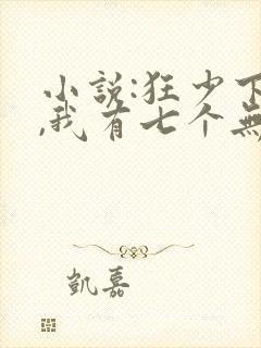 小说:狂少下山,我有七个无敌师父封面