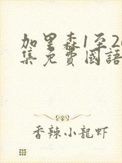 加里森1至26集免费国语版