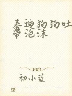 泰迪狗狗吐黄水带泡沫