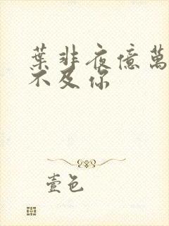 叶非夜亿万星辰不及你封面