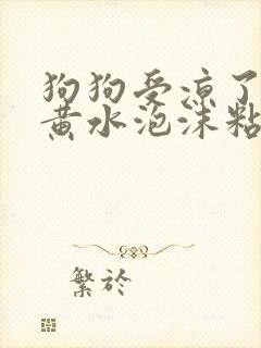 狗狗受凉了呕吐黄水泡沫粘液