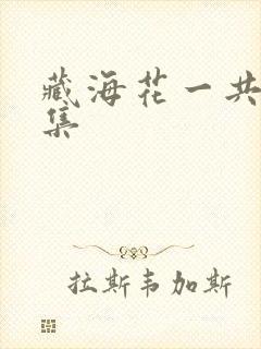 藏海花一共多少集封面