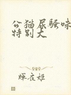 公猫尿骚味突然特别大