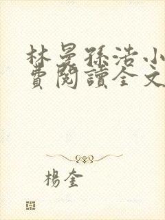 林曼孙浩小说免费阅读全文最新章节