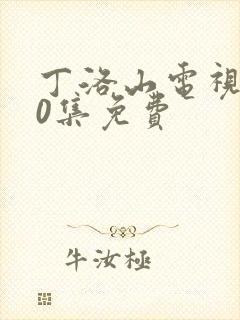 丁洛山电视剧40集免费