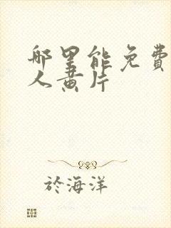 哪里能免费看成人黄片封面