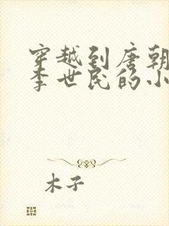 穿越到唐朝辅佐李世民的小说