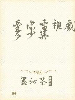 爱你电视剧一共多少集