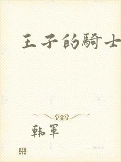 王子的骑士小说封面