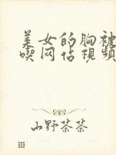 美女的胸被男人吃网站视频