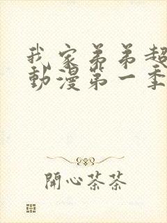 我家弟弟超级棒动漫第一季免费观看