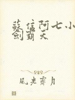 苏信阿七小说一剑霸天封面