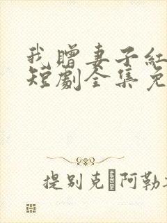 我赠妻子红缨枪短剧全集免费观看封面