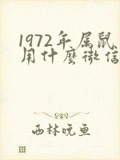 1972年属鼠用什么微信头像好