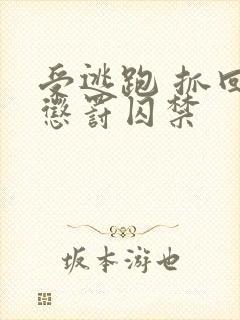 受逃跑 抓回 惩罚囚禁封面