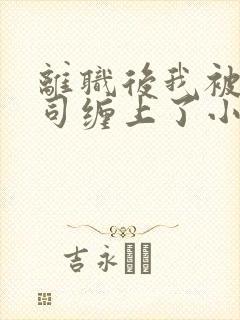 离职后我被前上司缠上了小说完整封面