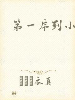 第一序列小说