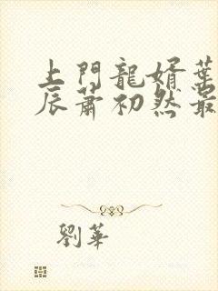 上门龙婿叶辰叶辰萧初然最新封面