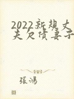 2022新规丈夫欠债妻子不用还封面