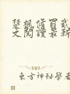 楚枫修罗武神全文阅读最新封面