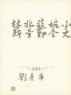 林北苏婉小说最新章节全文