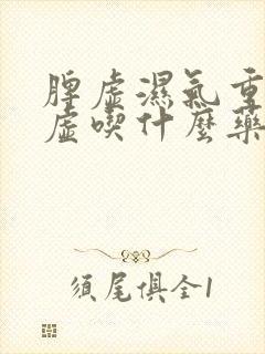 脾虚湿气重肾气虚吃什么药