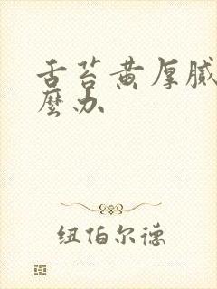 舌苔黄厚腻的怎么办封面