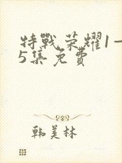 特战荣耀1—45集免费