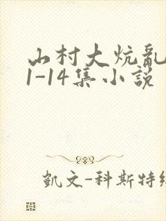 山村大炕乱肉续1-14集小说