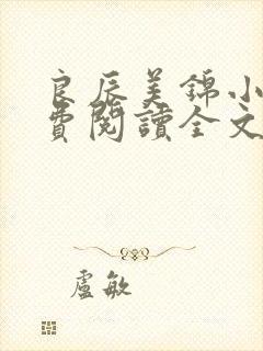 良辰美锦小说免费阅读全文