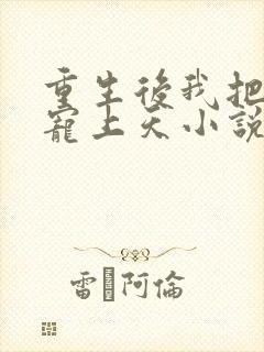 重生后我把丈夫宠上天小说封面