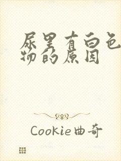 尿里有白色沉淀物的原因