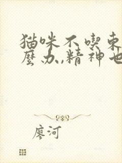 猫咪不吃东西怎么办,精神也不好封面