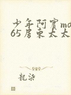 少年阿宾md165房东太太